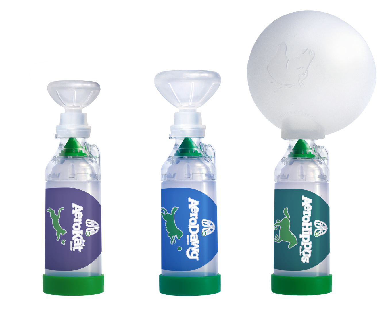 Untitled (1350 x 1080 px) (1)